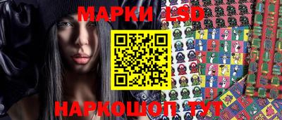 СК Краснодар