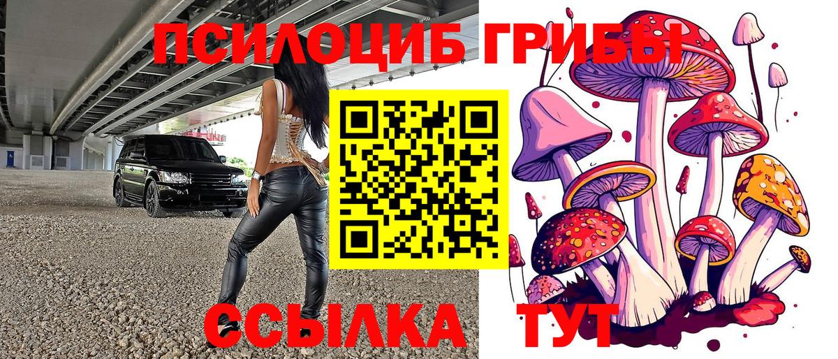 Псилоцибиновые грибы Psilocybe  Вход с VPN  цены наркотик  Касимов 