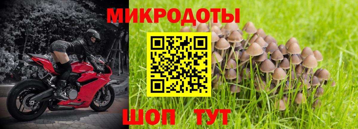 Галлюциногенные грибы MAGIC MUSHROOMS Касимов